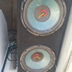 Fenix 2x12 Sub In Box 