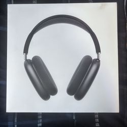 AirPod Pro Max (NEW)