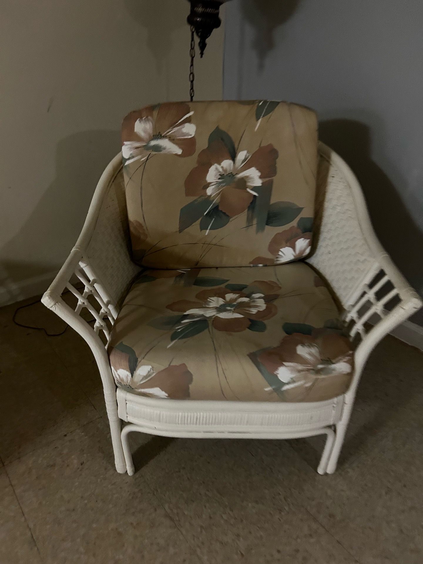 Wicker miami vice look chair!