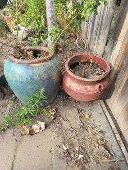 Large Outdoor Ceramic Garden Planters Set of 2