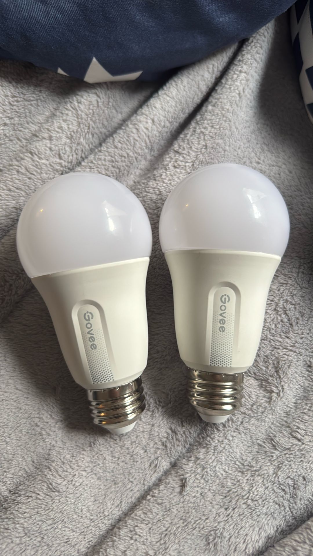 Govee Bulbs 2