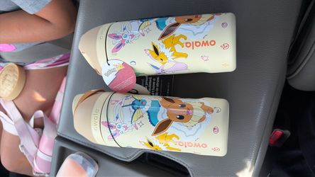 Pokemon owala