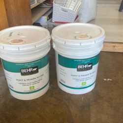 Behr Premium Plus Paint Gray