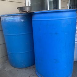 Food For Dog Canecorso