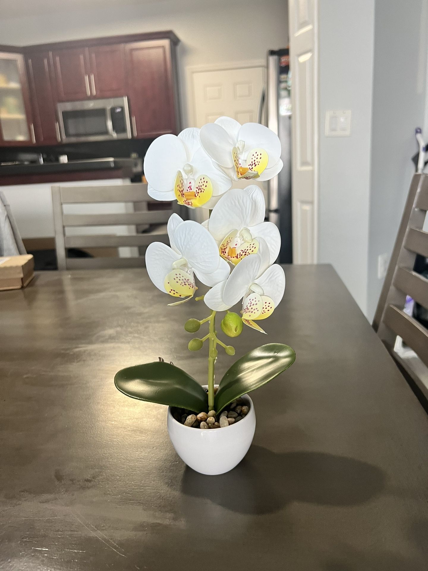 Mini Orchid 