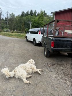 Dump run
