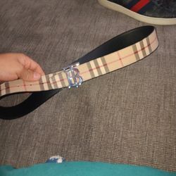 Burberry Belt Men 