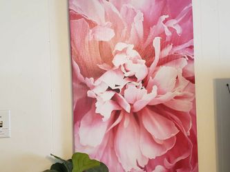 Wall Art- 36in×24in Pretty Peony Canvas