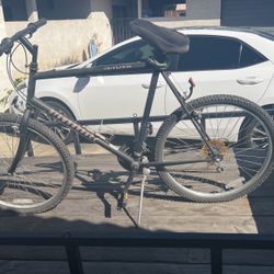 XL Mountain Bike