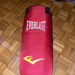 ever last punching bag