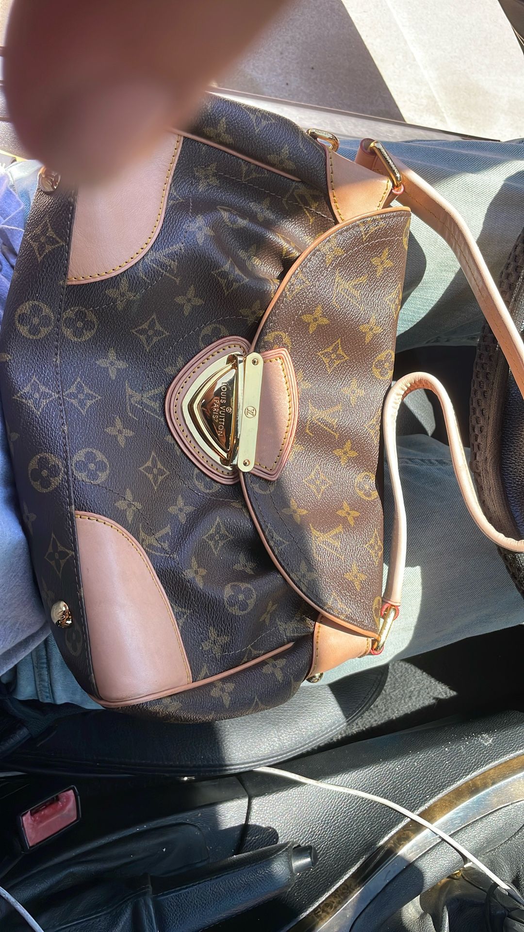 Louis Vuitton Purse