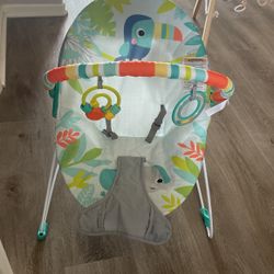 Baby Bouncer