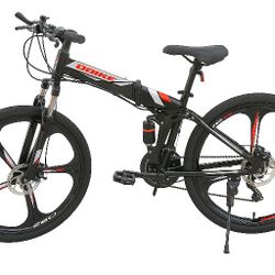 Folding Bike