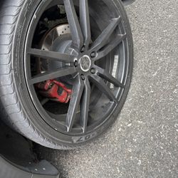 Rims 