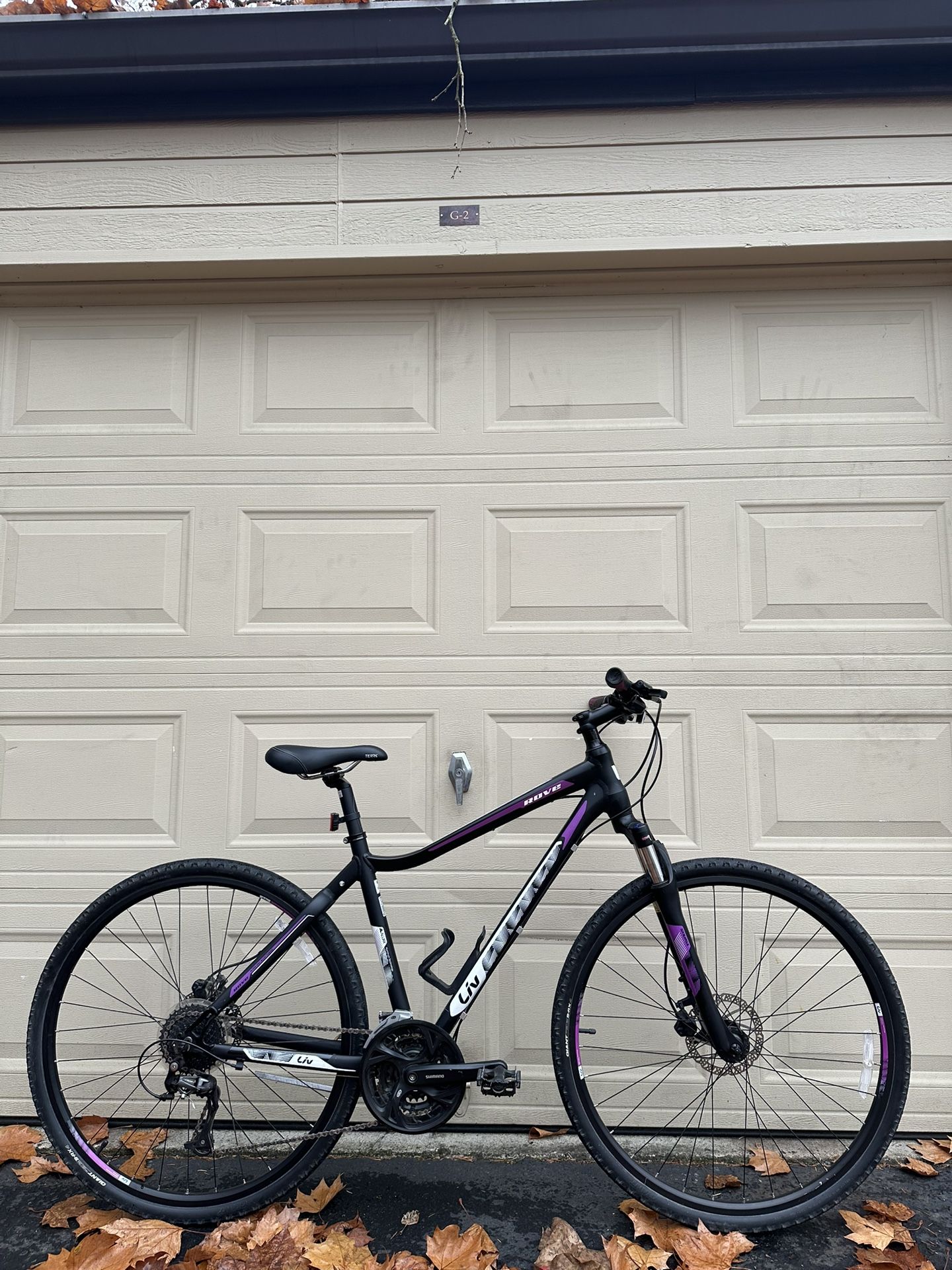 Giant / Liv Rove 2 – Women’s Hybrid Bike – Medium Frame - Comfort Bicycle