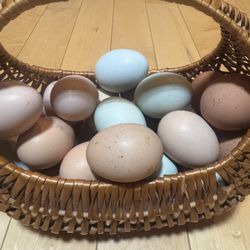 Fresh Organic Eggs 