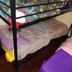 Bunk Beds