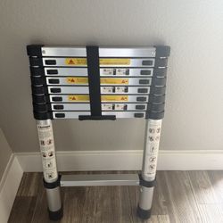 9 Foot Telescope Ladder