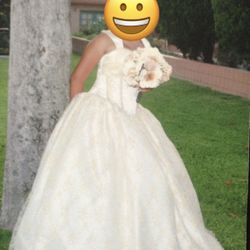 Quinceañera Dress