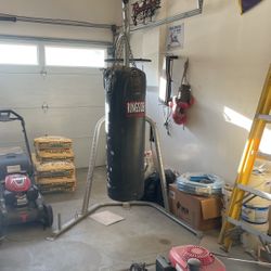 200lb Bag Ringside And Stand