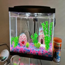 Fully-Loaded Aquarium Set - Dive into Underwater Beauty sure somebody