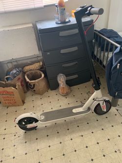 New stand up scooter