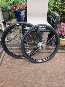Mountain Bike Rims/Tires 29"