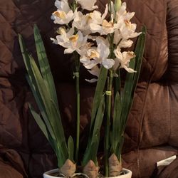 Artificial Orchid Arrangement  W/ Vase