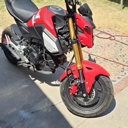 Honda Grom In Great Condition