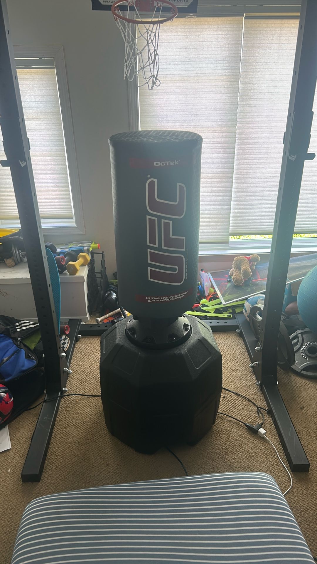 UFC Punching Bag