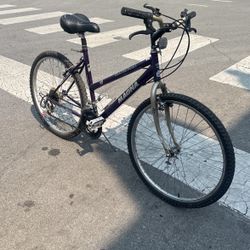 ll bean womens bicycle 26" L.L. Acadia Cruiser LG FirstFlightBikes Facebook Magna Equator Mountain Bike