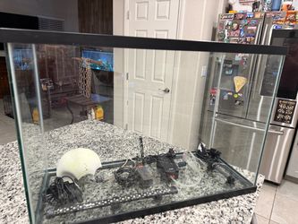 29 gallon full set up
