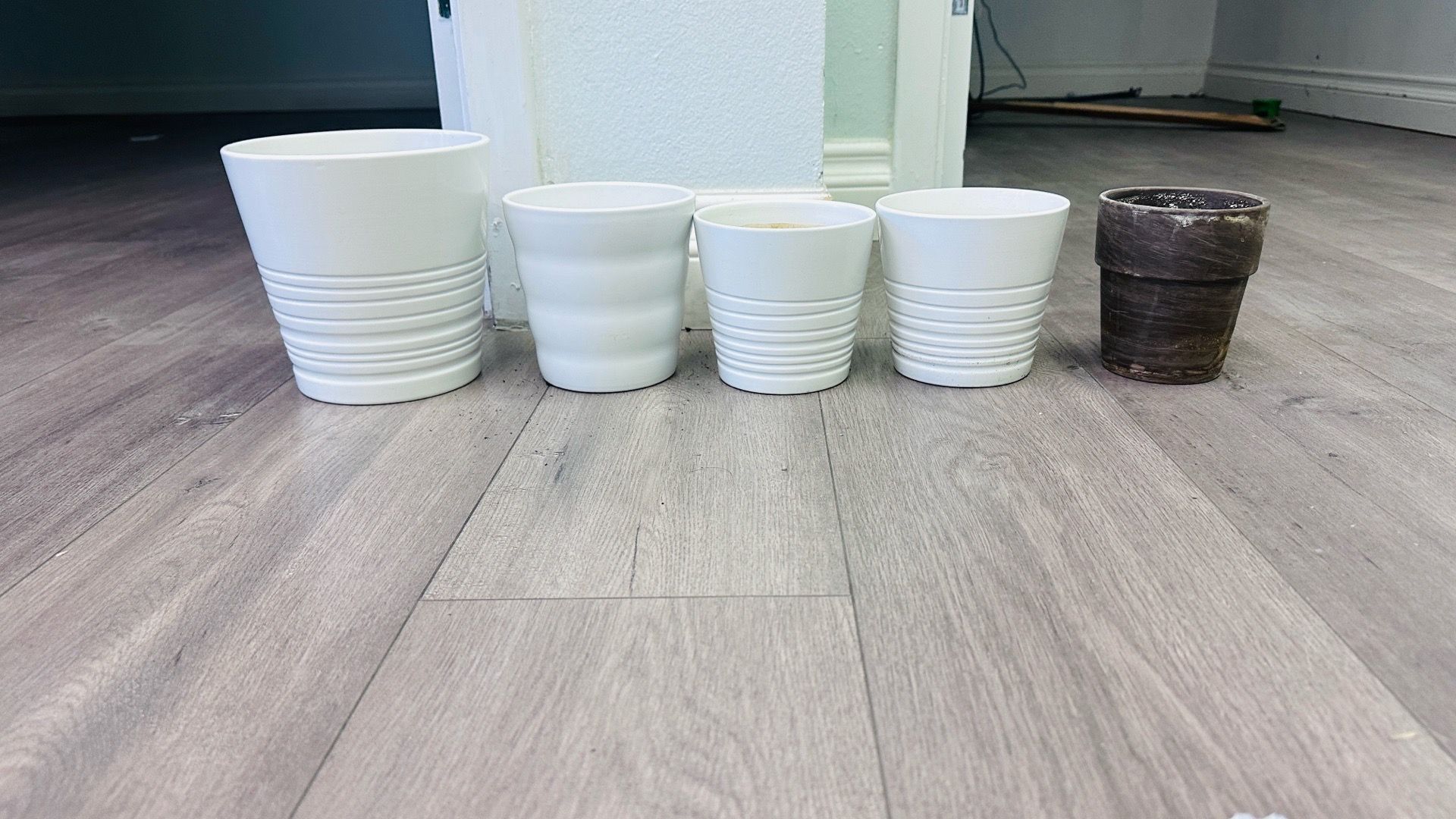 5 pot plants