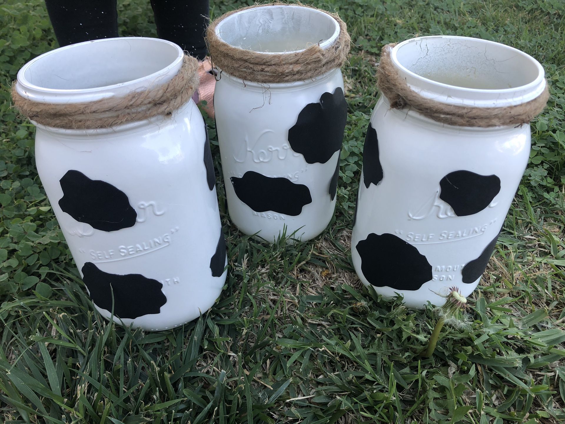 Cowboy toy story barn theme party mason jar birthday party