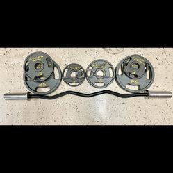 Gold's gym curl bar hotsell