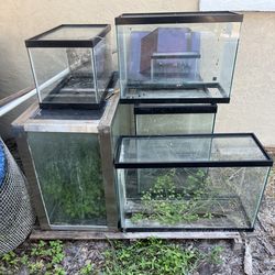 Fish Tank Aquariums