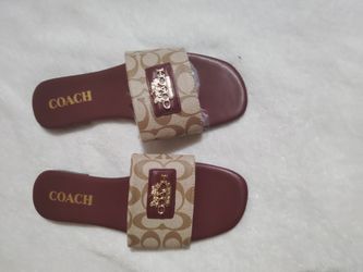 Sanda coach