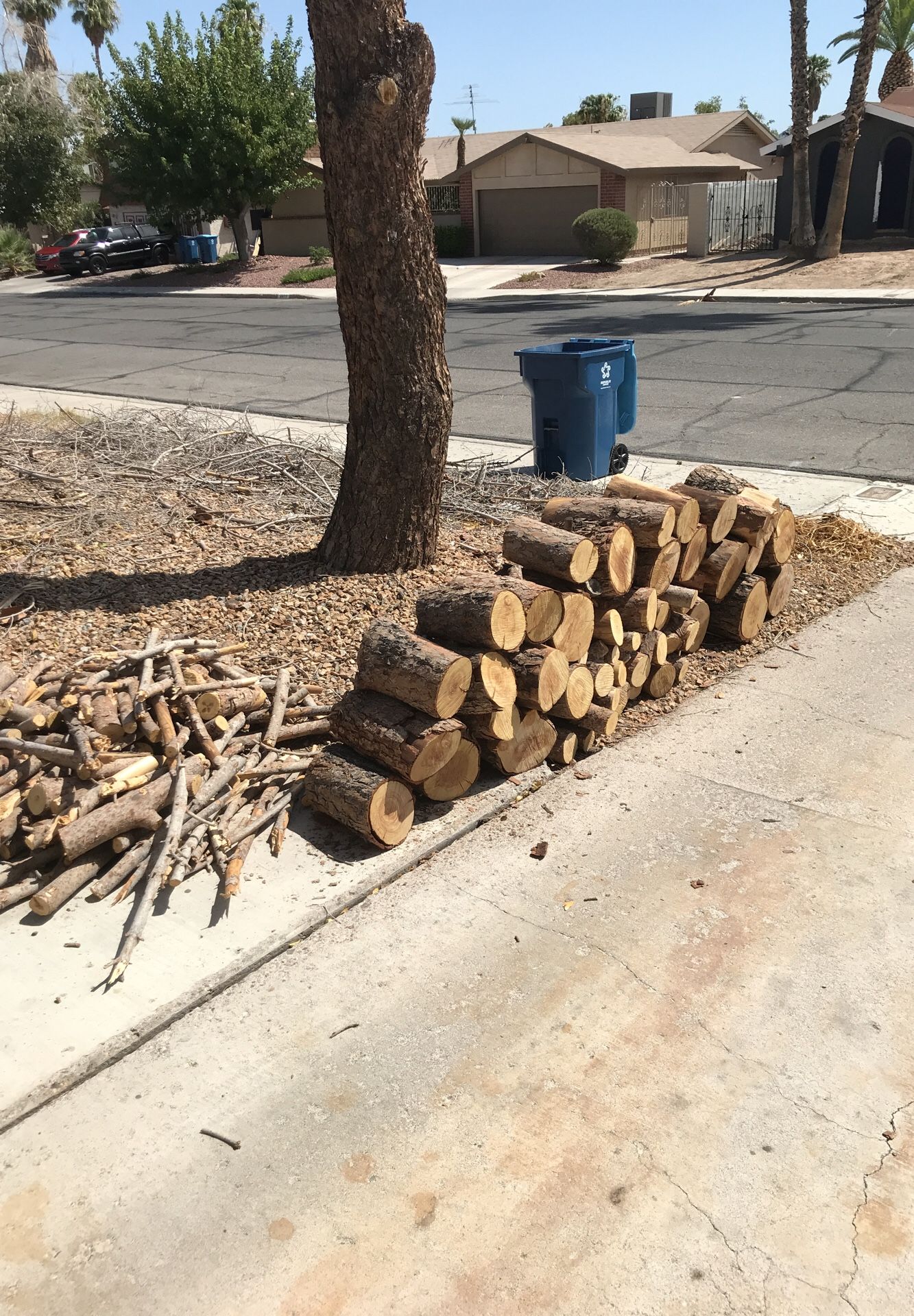FREE firewood!