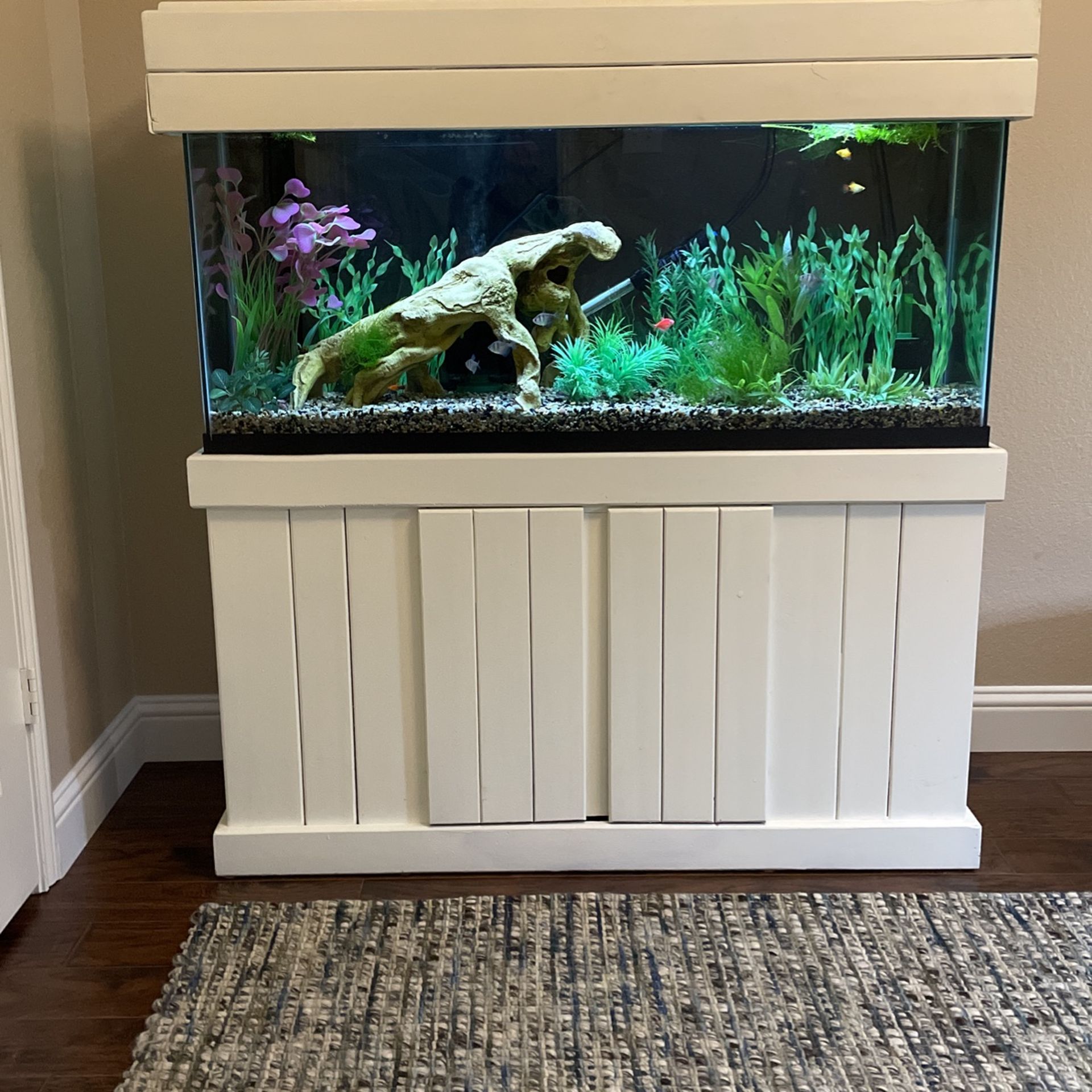 55Gallon Aquarium With Stand