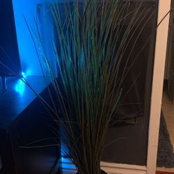 Fake plant