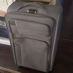 Large luggage