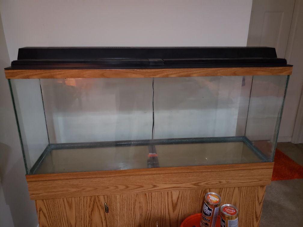 55gallon fish tank