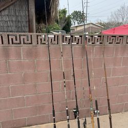 Fishing Rod Old 