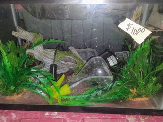 10 gallon fish tank and or reptile enclosure