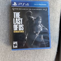 Last of Us (PS4)