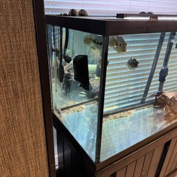 210 Gallon Fish Tank