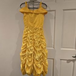 Belle Dress 10-12