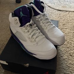 DS 2013 Jordan 5 Retro Grapes Size 11.5