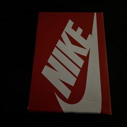 Nike Dunk Vast Grey (9.5)