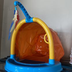 Cat Tunnel Toy